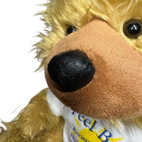 PBC NOAH BENSHEA Feel Better TALKING Animated Plush Stuffed Teddy BEAR w/ Tag - Picture 3 of 14